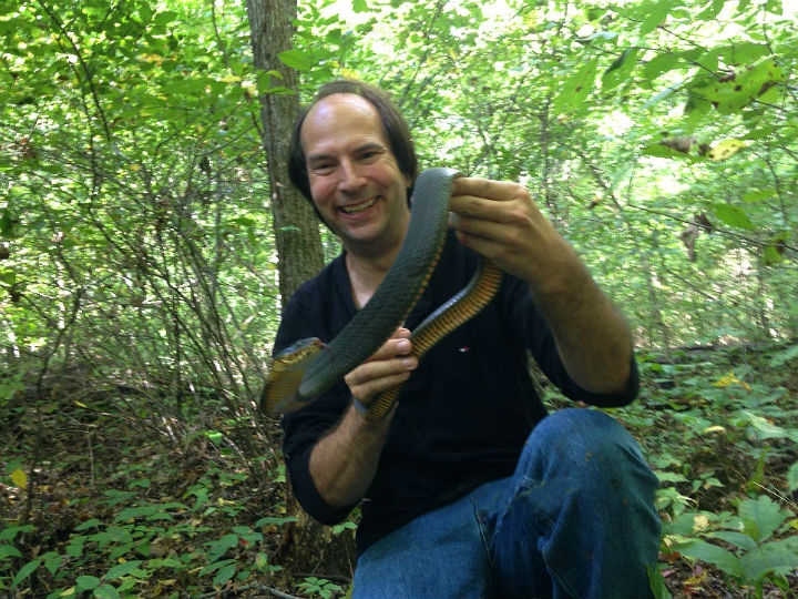 Plainbelly Water Snake
